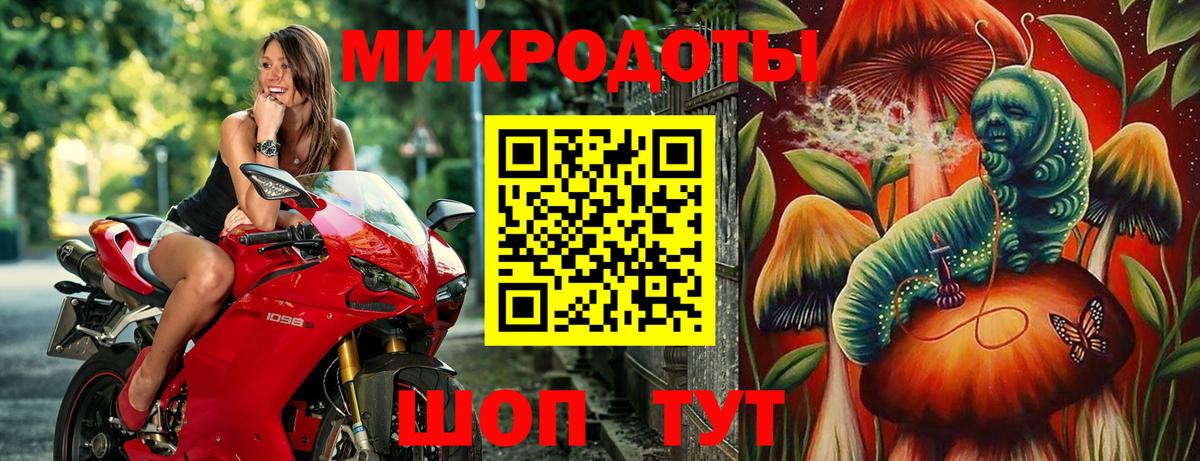 Кропоткин  Галлюциногенные грибы мухоморы  Вход с VPN  Галлюциногенные грибы Psilocybe 