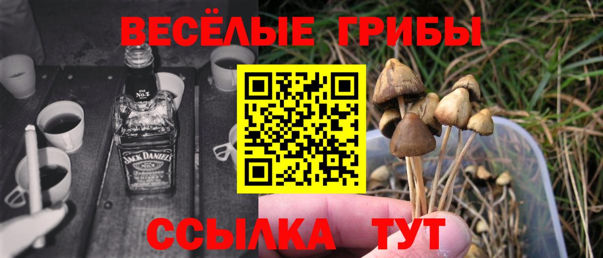 Псилоцибиновые грибы мухоморы Кропоткин